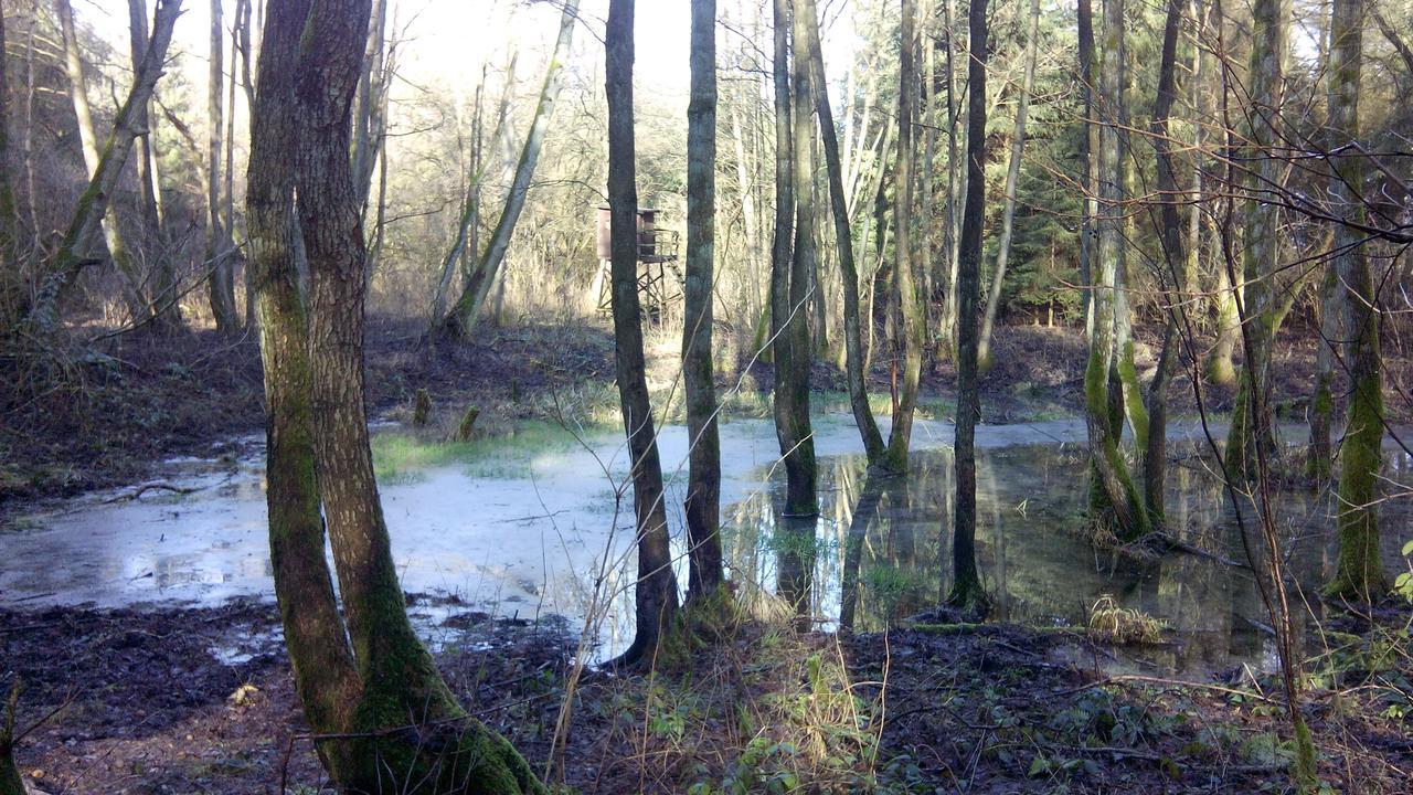 Landhaus Kranichwiese Göhren-Lebbin Zewnętrze zdjęcie