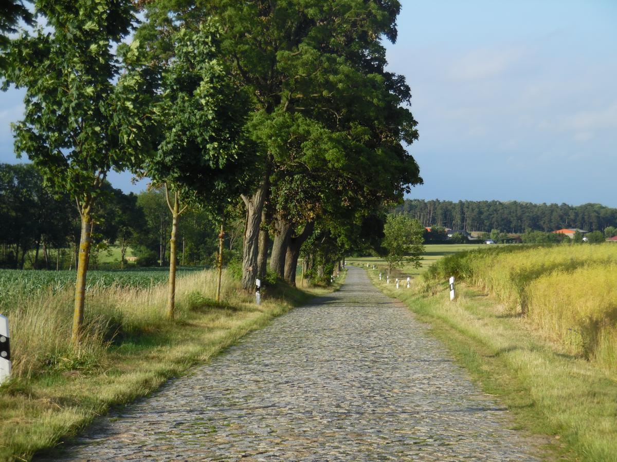 Landhaus Kranichwiese Göhren-Lebbin Zewnętrze zdjęcie